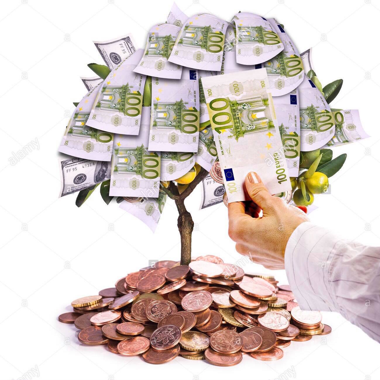 66727625_512625122814394_5711833511816593408_n