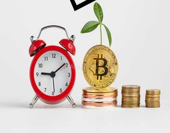 1607291143894253_detalle