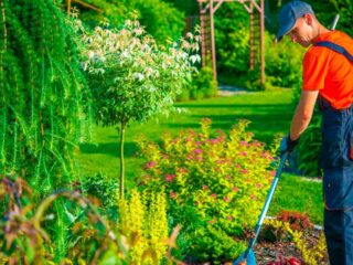 Conoce-que-debe-de-ofrecerte-un-servicio-de-jardineria