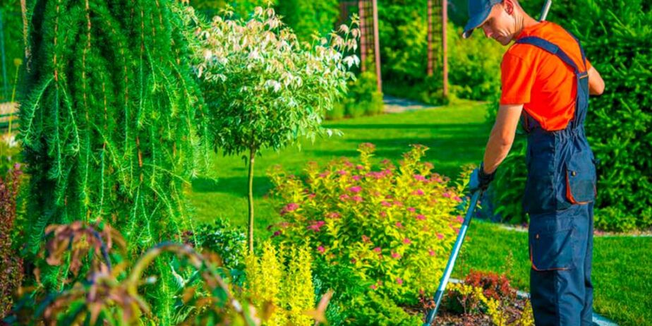 Conoce-que-debe-de-ofrecerte-un-servicio-de-jardineria