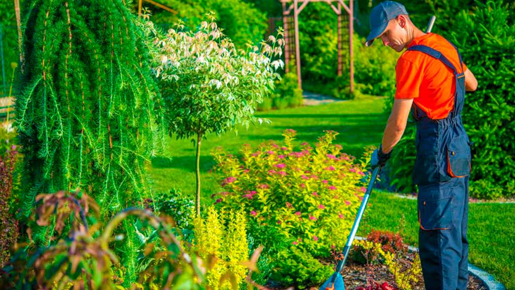 Conoce-que-debe-de-ofrecerte-un-servicio-de-jardineria