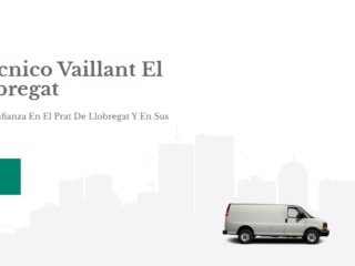 vaillant