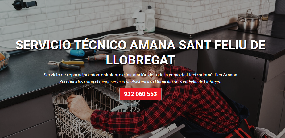 AMANA-SANT-FELIU-DE-LLOBREGAT