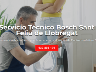 BOSCH-SANT-FELIU-DE-LLOBREGAT