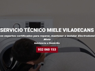 MIELE-VILADECANS