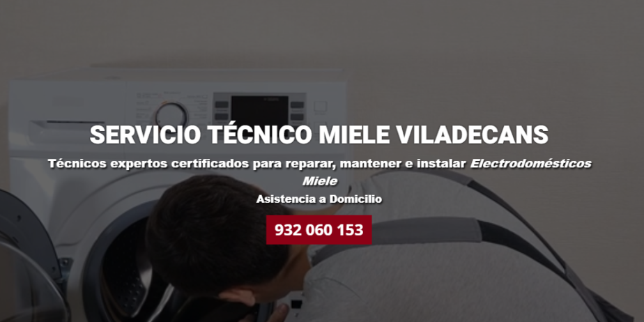 MIELE-VILADECANS