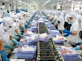 empleados-en-almacen-de-empaquetado-de-alimentos-empacadores-employee-in-production-factory-male-and-female-employees