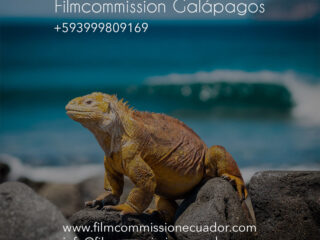 filmcommission-galapagos