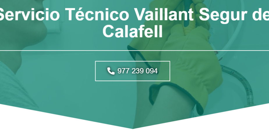 vaillant-1