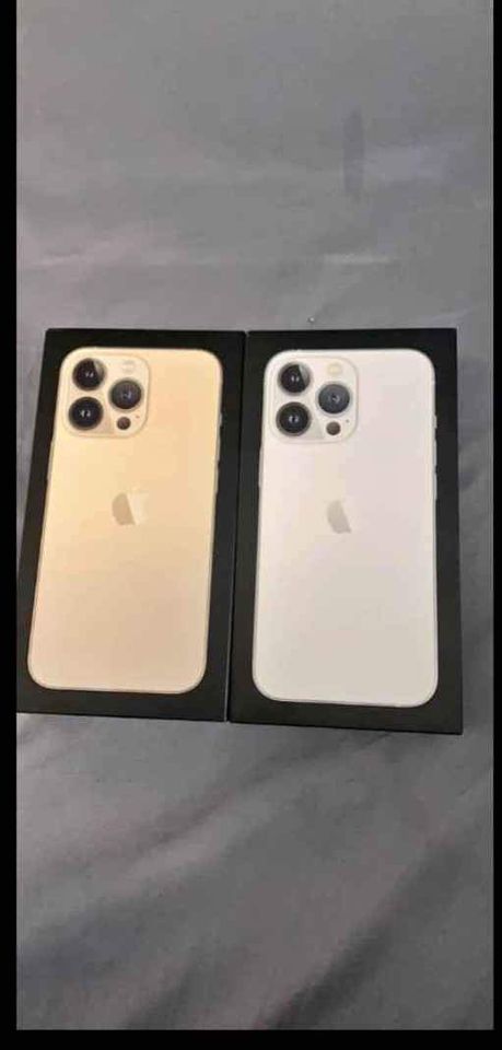 251074849_4807676525929261_7417409855677416892_n