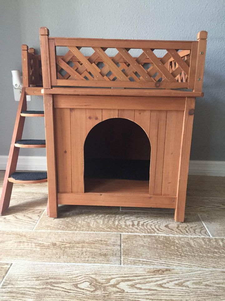 253168745_3004820706308305_282170199796537855_n