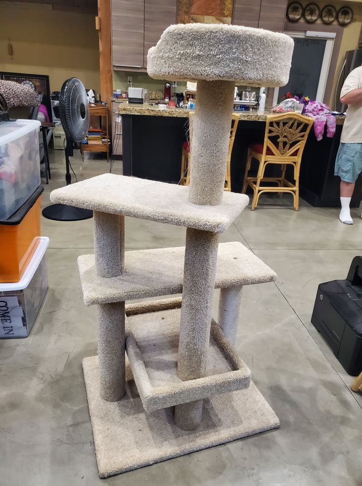 253757266_4378536515533505_4689847086268117820_n