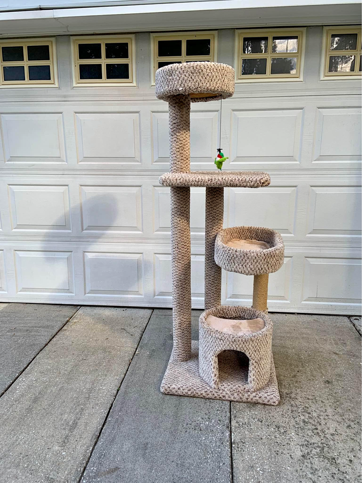 255090780_5133966856632044_8871187767488243564_n