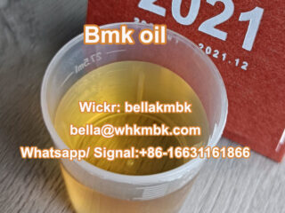 CAS 5413-05-8 Bmk glycidate powder with high yield