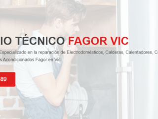 FAGOR-VIC