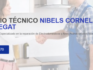 NIBELS-CORNELLA-DE-LLOBREGAT