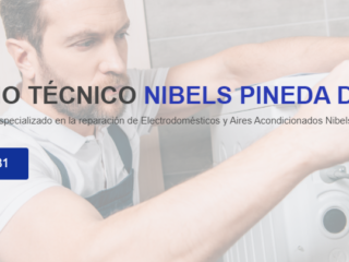 NIBELS-PINEDA-DE-MAR