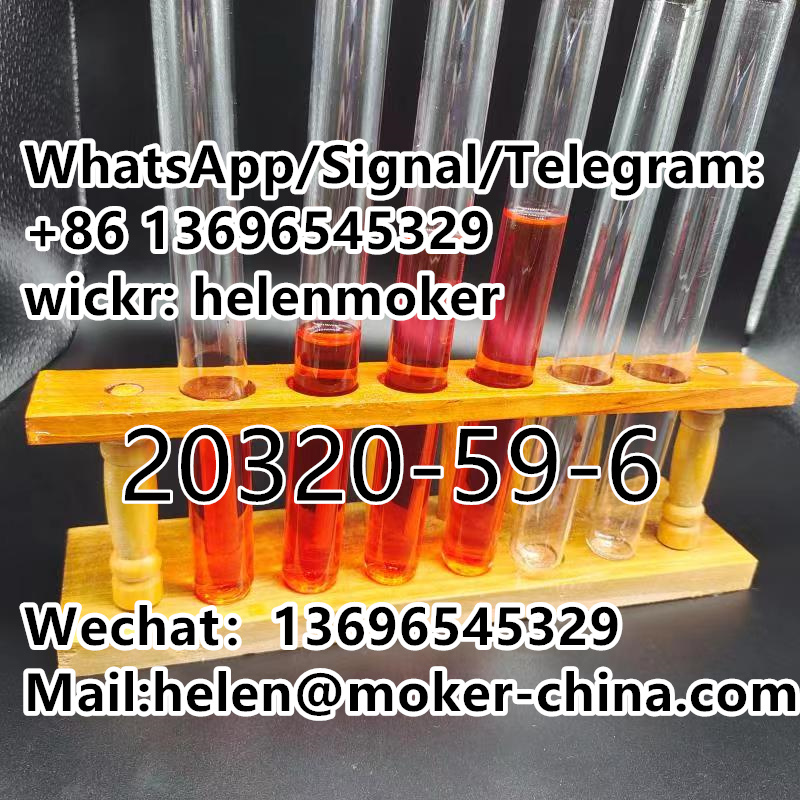 微信图片_20211103131240_副本3-1