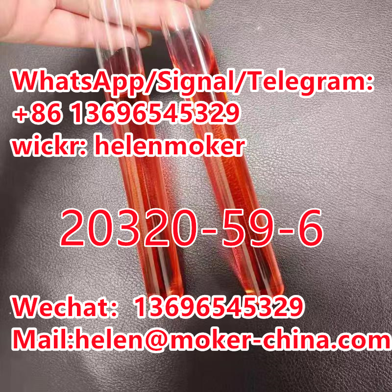 微信图片_20211103131245_副本2