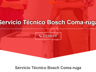 Bosch-1