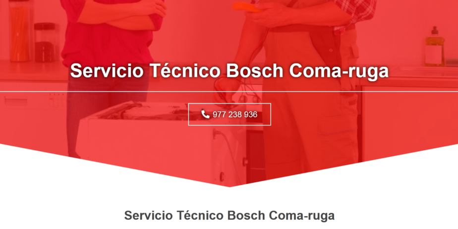 Bosch-1