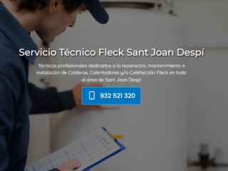 FLECK-SANT-JOAN-DESPI