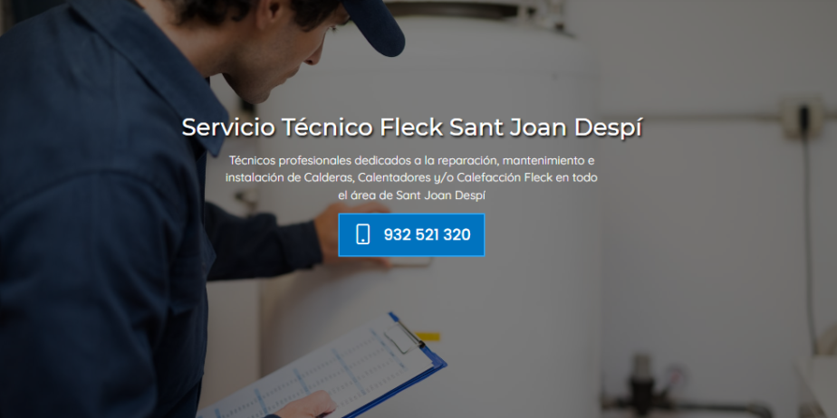 FLECK-SANT-JOAN-DESPI