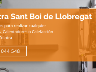 Sant-Boi-de-Llobregat-3