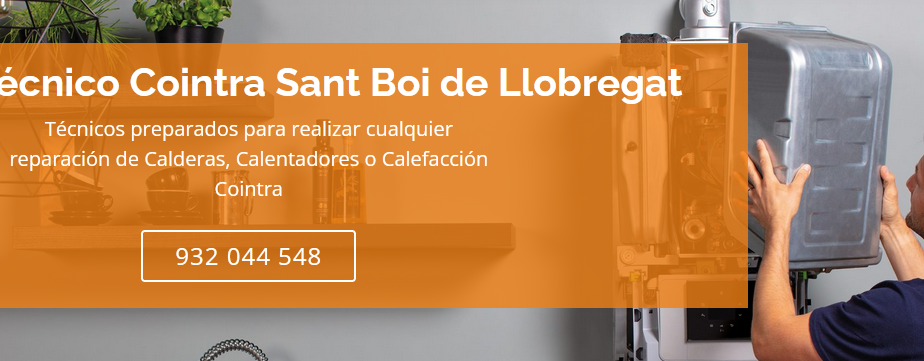 Sant-Boi-de-Llobregat-3