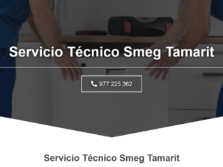 Smeg-1