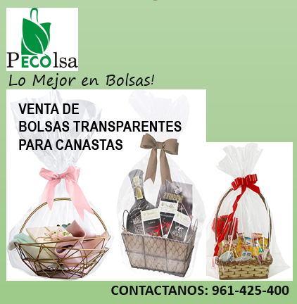 BOLSAS-TRANPARENTES-1-3