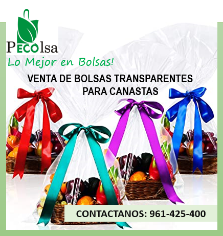 BOLSAS-TRANPARENTES-33