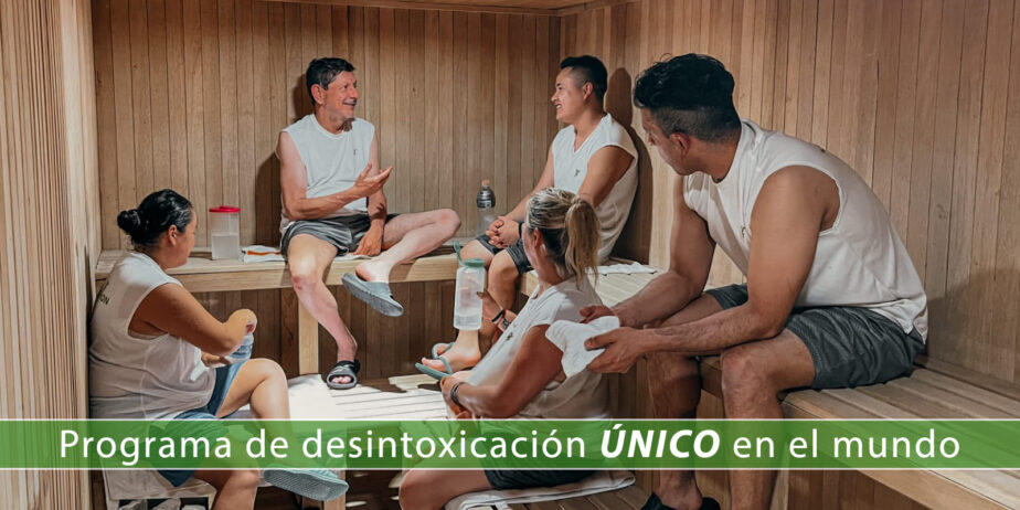 Programa-de-desintoxicacion-2