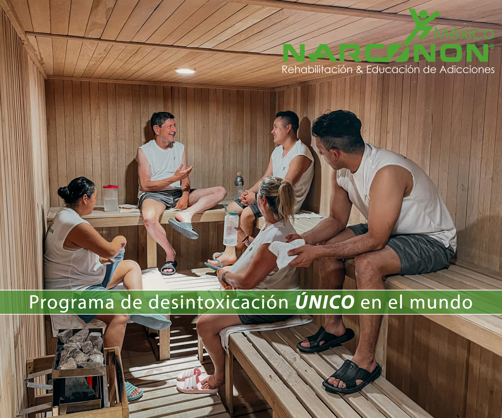 Programa-de-desintoxicacion