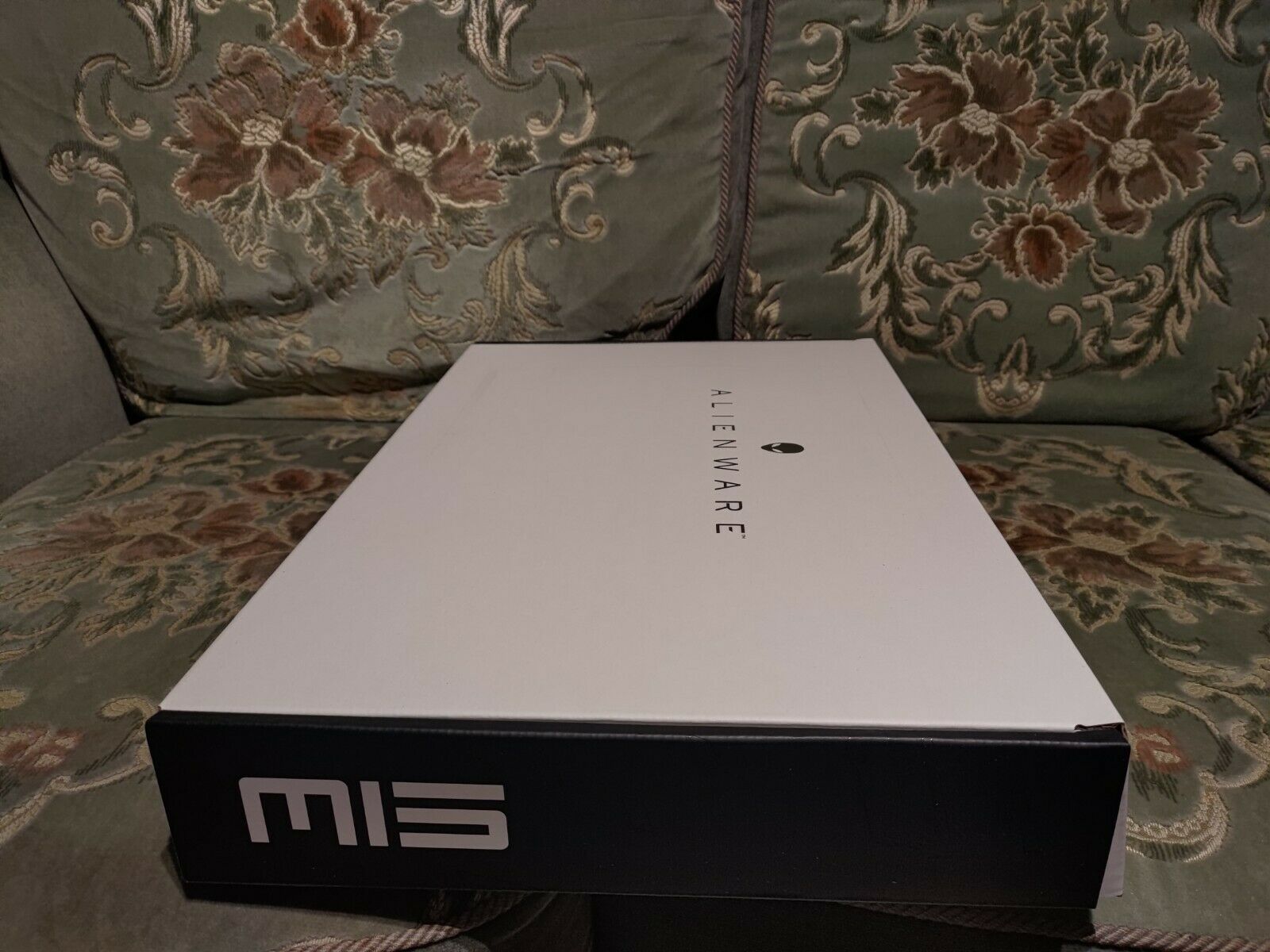 NEW-Alienware-M15-R6-i7-11800H-16GB-RTX-3080-1TB-360Hz-Monster-Gaming-Laptoppppp