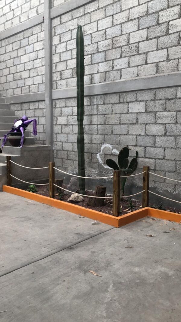 WhatsApp-Image-2021-09-15-at-12.39.11-PM-2-600×1067-1