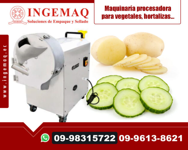 maquinaria-procesadora-para-vegetales-hortalizas