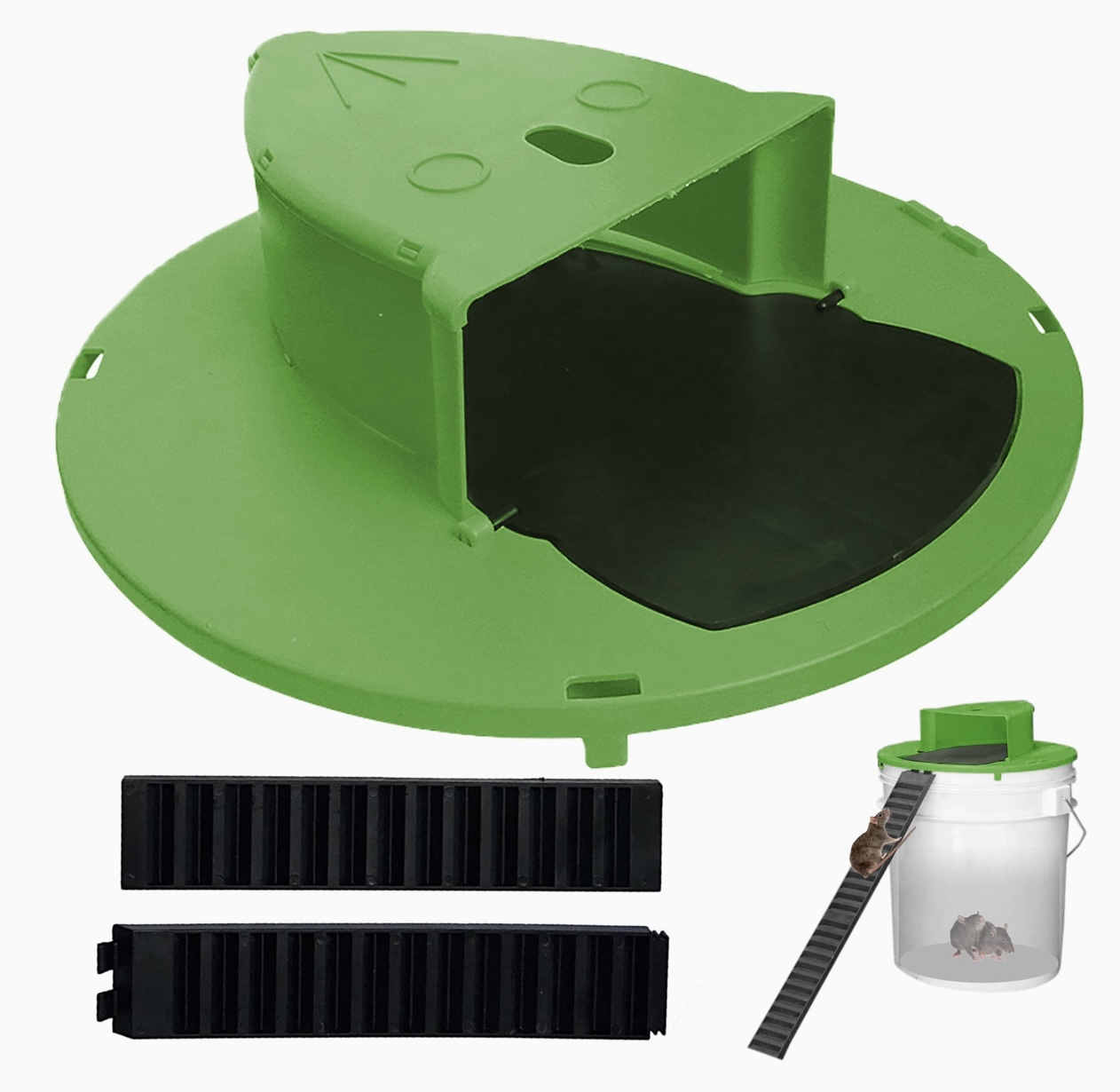 01824947-6CC5-4E1F-B269-85DAE182836A