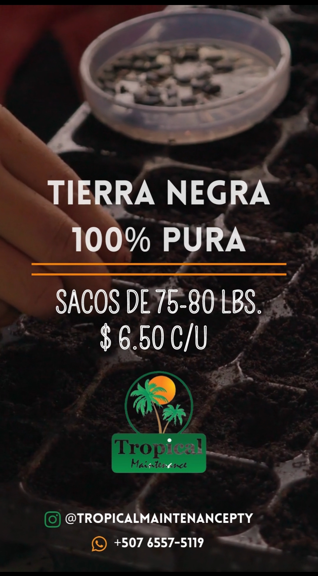 Screenshot_20221007_103223