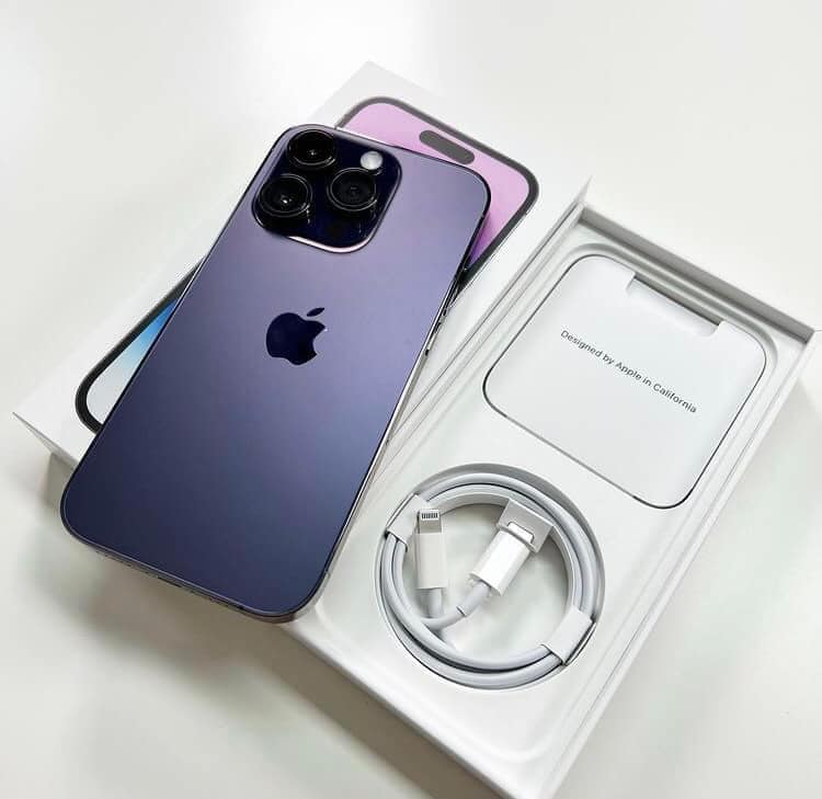 310763383_617023903303709_4687767274874577912_n