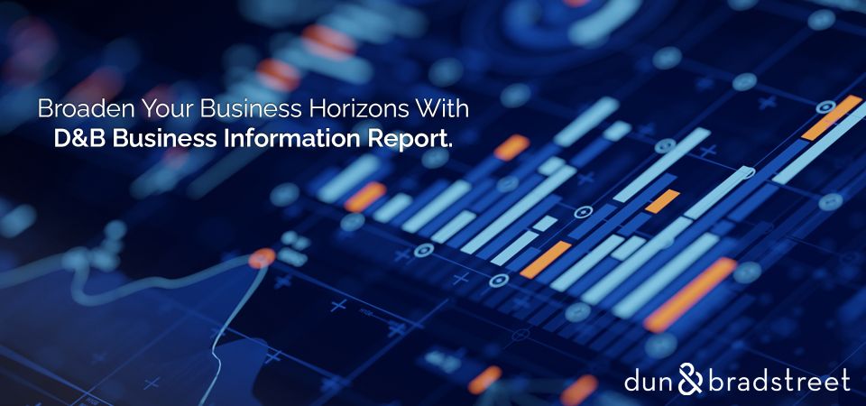 business-info-report
