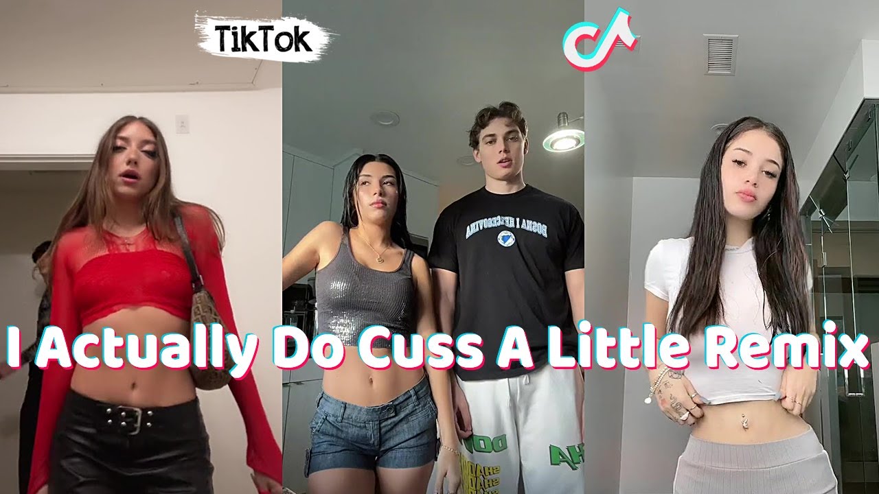 I Actually Do Cuss A Little (Remix) ~ TikTok Dance Compilation