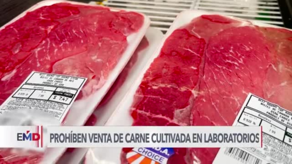 Nueva controversia en Florida por prohibición de venta de carne cultivada en laboratorios