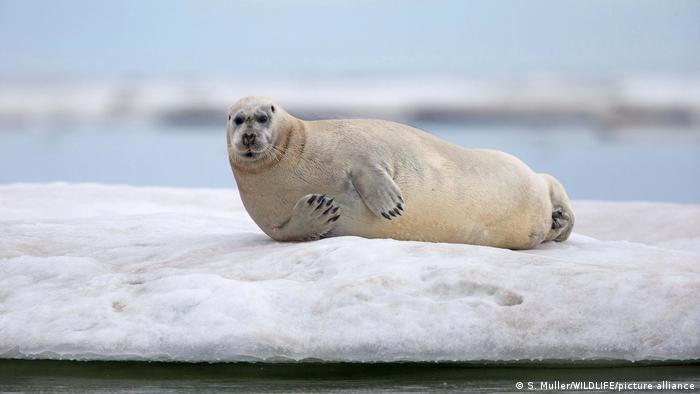 Sección Comunicados de Prensa 10 Sección Comunicados de Prensa